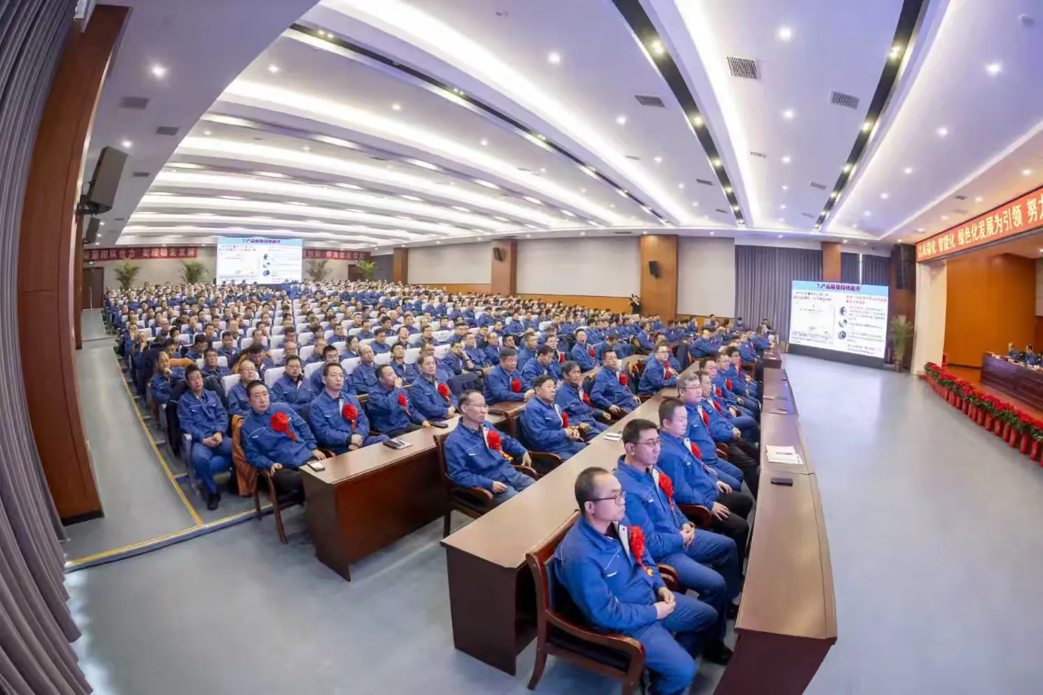 1770694102783007.jpg 24.jpg